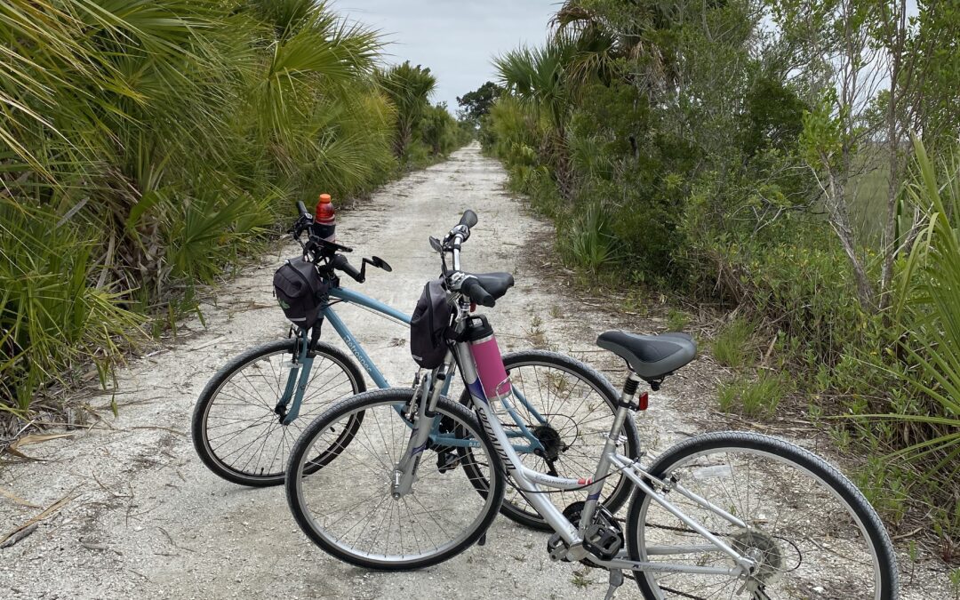 Bicycle Diaries: A Guide To Biking Around Savannah – By Austin Rojas