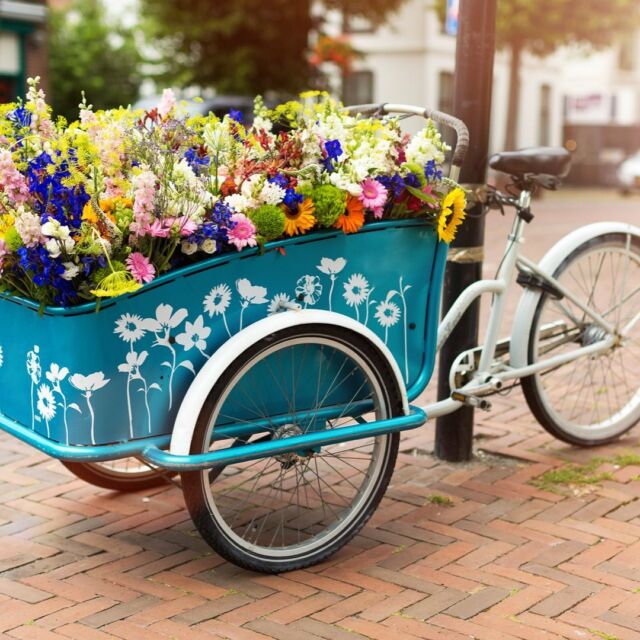 Happy Mother’s Day to all you awesome moms out there! Thank you for all that you do!Where will today take you? Adventure awaits! 🚲Savannah On Wheels • Bicycle Rentals • Bicycle Tours • Bicycle Sales • Bicycle Repairs •#savannahga #savannahgeorgia #savannahgeorgia🍑 #visitsavannah #exploregeorgia #georgiaonmymind #thingstodoinsavannah #bikesav #savannahwedding #savannahweddings #savannahbachelorette #shoplocal #shoplocalsavannah #shopsmall #shopsmallbusiness #sunday #sundayfunday #sundayvibes #sundaymotivation #mothersday #mothersdaygift #mom #momsofinstagram #moms #furmom