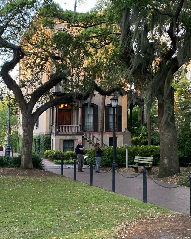 Like living in a storybook. 📚 ✨Where will today take you? Adventure awaits! 🚲Savannah On Wheels • Bicycle Rentals • Bicycle Tours • Bicycle Sales • Bicycle Repairs •#savannahgeorgia #savannahga #savannahgeorgia🍑 #visitsavannah #exploregeorgia #georgiaonmymind #thingstodoinsavannah #savannahwedding #savannahweddings #savannahbachelorette #bikesav #shoplocal #shoplocalsavannah #shopsmall #shopsmallbusiness #wednesday #wednesdaywisdom #wednesdays #wednesdaymotivation #wednesdayvibes #travel #travelphotography #storybook #fairytale