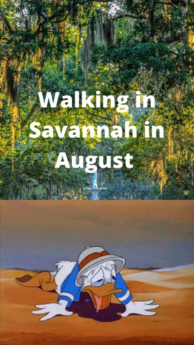 Perhaps you’ve noticed it’s a tad warm here in Savannah this month. Why not make your own breeze as you see the city the best way - on two wheels! 🚲 Come to Savannah On Wheels to rent your ride!Drop your bags, grab your bikes, explore!Savannah On Wheels • Bicycle Rentals • Bicycle Tours • Bicycle Sales • Bicycle Repairs •#savannah #savannahgeorgia #savannahgeorgia🍑 #savannahga #visitsavannah #exploregeorgia #georgiaonmymind #bikesav #thingstodoinsavannah #savannahwedding #savannahweddings #savannahbachelorette #shopsmall #shopsmallbusiness #shoplocal #shoplocalsavannah #monday #mondayvibes #dropyourbagsgrabyourbikesexplore