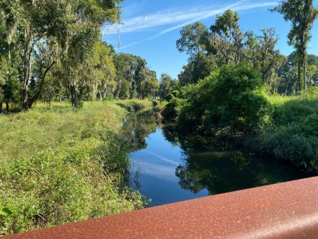 Check out this beautiful view from the Truman Linear Park Trail in Savannah, one of our recommended bike routes! #scenicsaturday #savannahonwheels 

Drop your bags, grab your bikes, explore! 🚲

Savannah On Wheels • Bicycle Rentals • Bicycle Tours • Bicycle Sales • Bicycle Repairs •

#savannah #savannahgeorgia #savannahgeorgia🍑 #savannahga #visitsav #visitsavannah #exploregeorgia #georgiaonmymind #thingstodoinsavannah #savannahwedding #savannahweddings #savannahbachelorette #shopsmall #shopsmallbusiness #shoplocal #shoplocalsavannah #biketour #dropyourbagsgrabyourbikesexplore #bikeride #bikeroute #biketrail